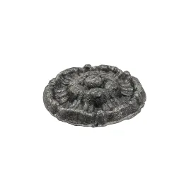Rosace pour portail fer D 55 mm
